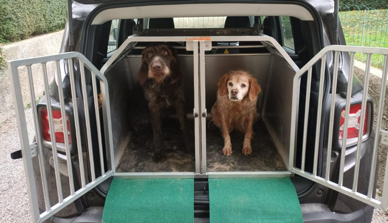 Kennel per JEEP RENEGADE su misura TRAVELLING DOG