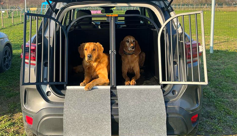 Trasportino per cani di taglia medio grande - TRAVELLING DOG