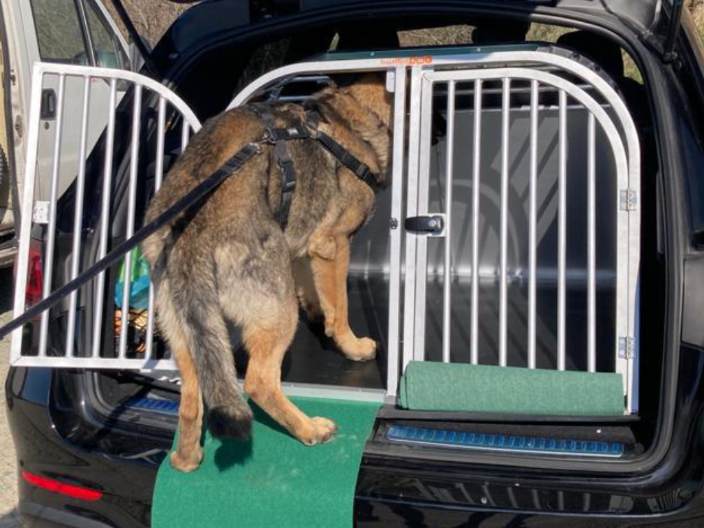 Trasportino per pastore tedesco su misura - TRAVELLING DOG