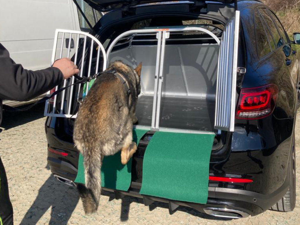Trasportino per pastore tedesco su misura - TRAVELLING DOG