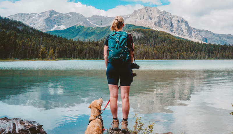 In montagna con il cane: 4 regole importanti - TRAVELLING DOG
