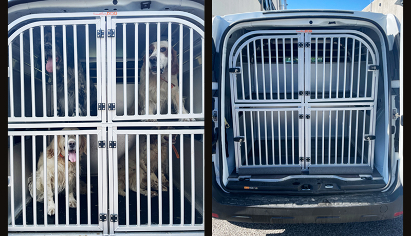 Setter inglese in auto: trasportino su misura per 4 setter - TRAVELLING DOG